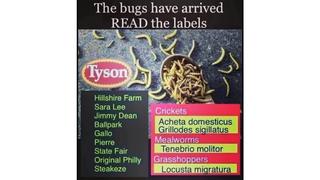 Fact Check: Tyson Foods Is NOT Adding Insects To Meat Products