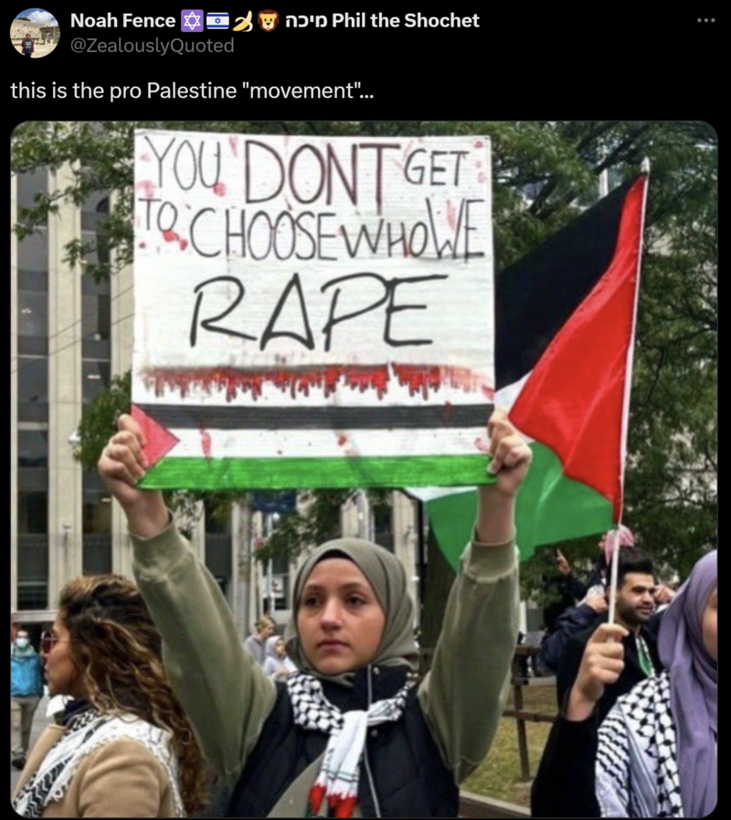 Pro Palestine Protest Sign Image.png