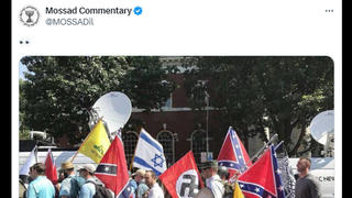 Fact Check: Fake Photo Of Israel, Nazi, Confederate Flags Together Is Edited 2017 Charlottesville Rally Image