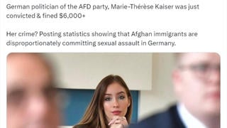 Fact Check: German Politician NOT Convicted, Fined For Merely Posting Statistics About Sexual Assaults By Afghan Immigrants