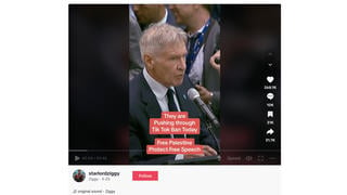 Fact Check: Video Does NOT Show Harrison Ford Expressing Support For Palestine -- His Topic Was The Amazon Rainforest