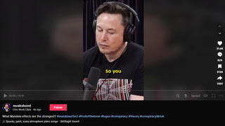 Fact Check: Elon Musk Did NOT Discuss Fruit Of The Loom Conspiracy Theory With Joe Rogan