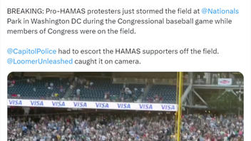 Fact Check: Video Does NOT Show Pro-Palestinian Protesters Running Onto Field During Congressional Baseball Game -- It Was Environmental Group