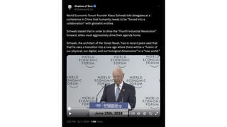 Fact Check: Klaus Schwab Did NOT Say Humanity Needs To Be 'Forced Into A Collaboration' With 'Globalist Entities'
