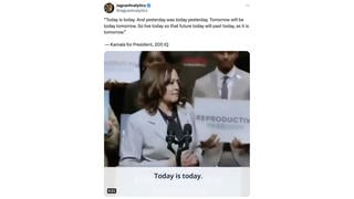 Fact Check: FAKE Video Shows Kamala Harris Saying 'Today Is Today' -- Audio Is Manipulated
