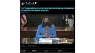 Fact Check: Kamala Harris Described Herself And Her Blue Suit To An Audience Because Many In The Group Were Visually Impaired