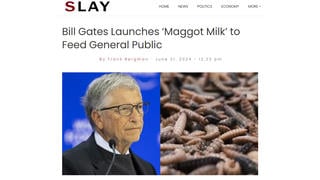 Fact Check: Bill Gates Did NOT Launch Insect 'Milk' Product Called EntoMilk -- Created By South African Startup