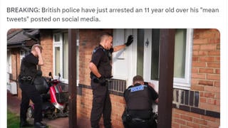 Fact Check: UK Police Did NOT Arrest 11-Year-Old For 'Mean Tweets' In August 2024; Suspects Were Taken Into Custody For Arson And 'Violent Disorder'