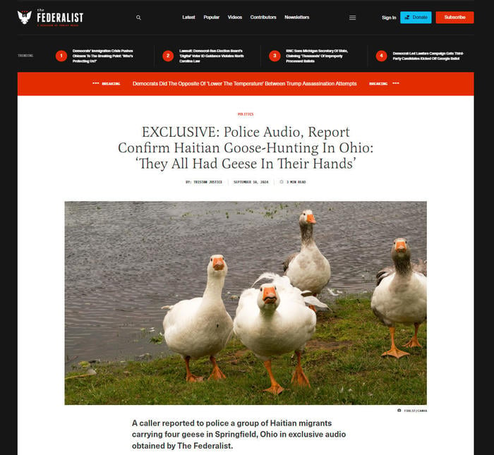 geese.jpg