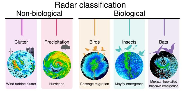 radarclassification.jpg