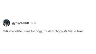 Fact Check: Milk Chocolate Is NOT 'Fine For Dogs' Compared To Dark Chocolate -- Both Toxic For Them