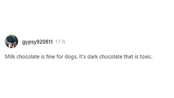 Fact Check: Milk Chocolate Is NOT 'Fine For Dogs' Compared To Dark Chocolate -- Both Toxic For Them