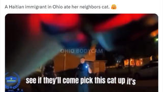 Fact Check: No 'Haitian Immigrant' Was Charged With Eating A Cat In Ohio In 2024; U.S.-Born Woman Arrested On Animal Cruelty Charges