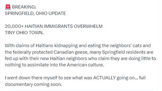 Fact Check: NO Evidence Haitian Immigrants In Springfield, Ohio, Are 'Kidnapping And Eating' Cats, Officials Say