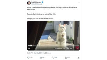 Fact Check: Reports Of Missing Cats In Bangor, Maine, Do NOT Prove Haitian Immigrants Were Involved With Pet Disappearances