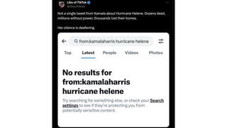 Fact Check: Kamala Harris DID Tweet About Hurricane Helene