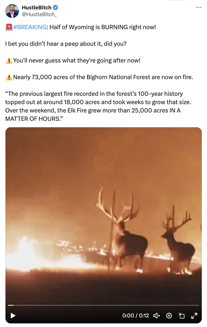 Elk Wildfire Video Image .png