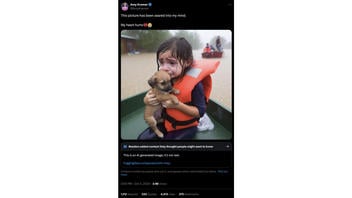 Fact Check: FAKE Photo Shows Girl With Puppy After Hurricane Helene Flooding