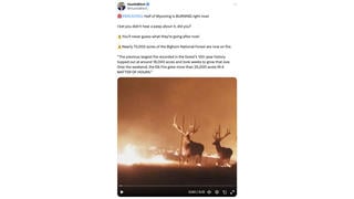 Fact Check: Video Does NOT Show Elk Escaping Wyoming Wildfire In 2024 