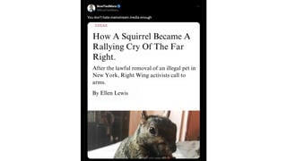 Fact Check: The Atlantic Did NOT Publish Article Titled 'How A Squirrel Became A Rallying Cry Of The Far Right'