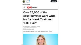 Fact Check: CNN Did NOT Publish Article Saying Over 75,000 Write-In Votes Went To 'Hawk Tuah' Or 'Talk Tuah'