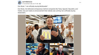 Fact Check: Elon Musk Did NOT Publicly Announce Plans To 'Officially' Buy McDonald's As Of November 13, 2024