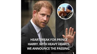 Fact Check: Prince Harry's Son Archie Had NOT Died As Of Mid-November 2024