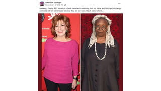 Fact Check: ABC Did NOT Issue 'Official Statement' That Joy Behar, Whoopi Goldberg Contracts 'Will Not Be Renewed Because They Are Too Toxic'