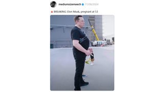 Fact Check: Image Of Elon Musk In Profile Is NOT Authentic -- Edited To Make Belly Bigger And Rear Smaller