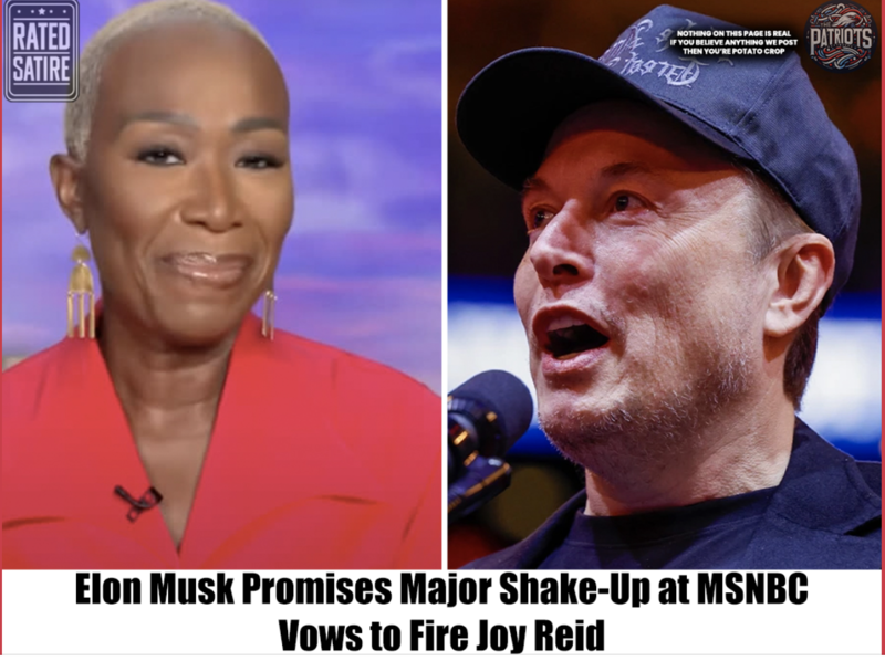 Elon Musk Fires MSNBC Joy Reid Image .png