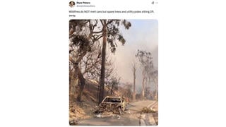 Fact Check: Wildfires DON'T Always Burn Trees Along With Cars