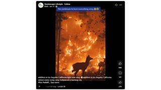 Fact Check: Video Of Wildfire Burning In Hollywood Is NOT Real -- AI Generated Scenes