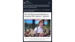 Fact Check: Ed Sheeran Did NOT Perform For IDF Soldiers To Show Support For Israel -- Performance Was 'A Large Scale Public Concert' 