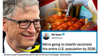 Fact Check: NO Evidence Bill Gates 'Caught Pumping Bird Flu Jabs Into Food Supply' In Story With That Headline -- Not Even A Mention