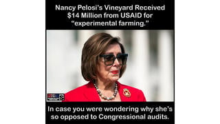 Fact Check: Story About Nancy Pelosi's Vineyard Receiving Millions In USAID Or Federal Grants Originated On A Satire Website