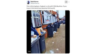 Fact Check: Muslim Immigrants Are NOT The Cause Of Birmingham's March, 2025 Piles Of Garbage On Streets -- There's A Refuse Worker Strike