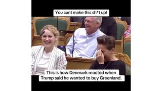Fact Check: Danish Politicians Laughed in Parliament About Circus Elephants, NOT Trump's Greenland Remarks