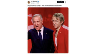 Fact Check: FAKE Photo Does Not Authentically Show Diana Fox Carney, Wife of Canadian PM Mark Carney