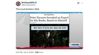 Fact Check: Trump Advisor Peter Navarro DID Invent and Quote an Expert Named 'Ron Vara'