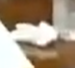 Screenshot 2025-05-11 130910.png