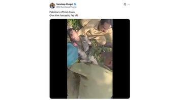 Fact Check: Video Does NOT Show Pakistani Pilot Shot Down Amid May 2025 India-Pakistan Clashes