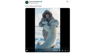 Fact Check: Video Does NOT Show Authentic Arctic Woolly Snake -- No Such Creature