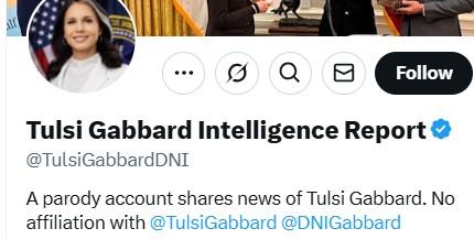 Gabbard Satire.jpg