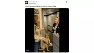 Fact Check: FAKE Video Shows 'Emotional Support Kangaroo' Denied Entry to Plane 