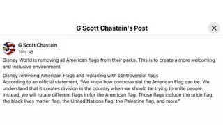 Fact Check: Disney World Did NOT Announce Replacing American Flags With BLM, Pride, Palestine Flags In Parks --  Rumor First Appeared On Self-Described Satire Site 'Mouse Trap News' 
