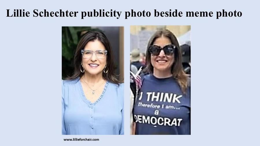 Schechter compare.jpg