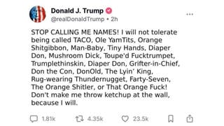 Fact Check: Donald Trump Did NOT Post 'Stop Calling Me Names' And Threatening To Throw Ketchup At The Wall -- Fake Image