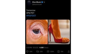 Fact Check: Elon Musk Did NOT Post 'Pigfoot' Message On X -- Fake Screenshot