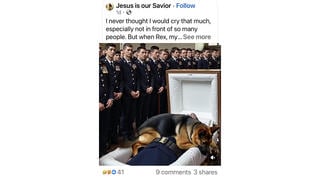 Fact Check: Video Showing Retired K9 Jumping In A Casket With A Dead Soldier Is Not Real - AI Made It