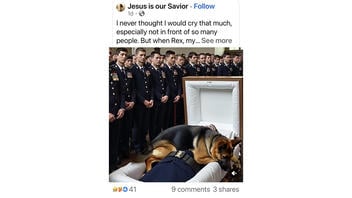 Fact Check: Video Showing Retired K9 Jumping In A Casket With A Dead Soldier Is Not Real - AI Made It